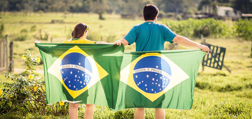 brazil global forests